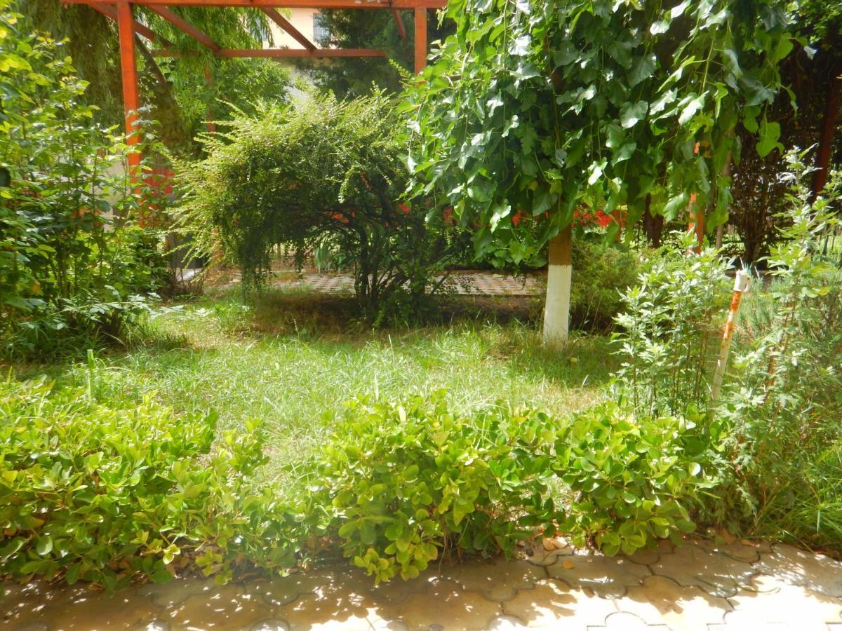 Casa Paloma *
